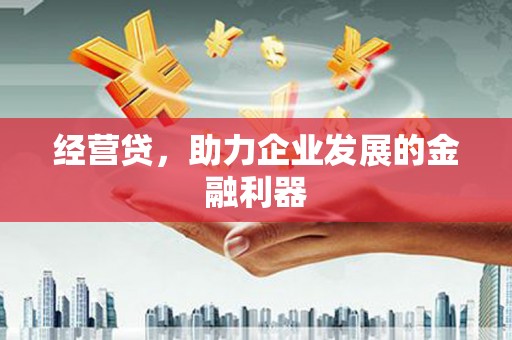 昭苏经营贷，助力企业发展的金融利器