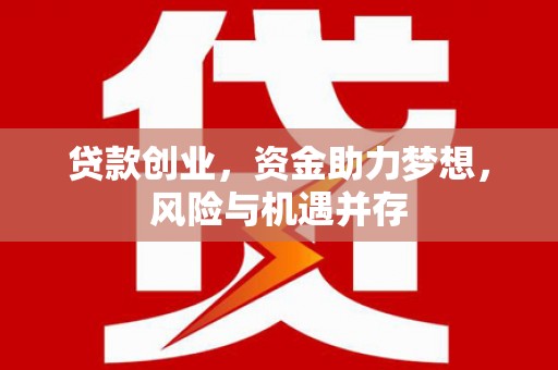 昭苏贷款创业，资金助力梦想，风险与机遇并存