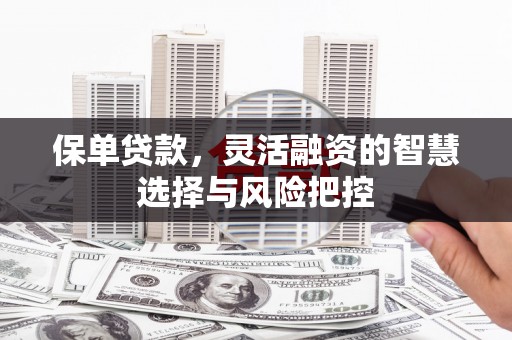 昭苏保单贷款，灵活融资的智慧选择与风险把控