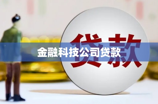 昭苏金融科技公司贷款