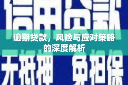 昭苏逾期贷款，风险与应对策略的深度解析