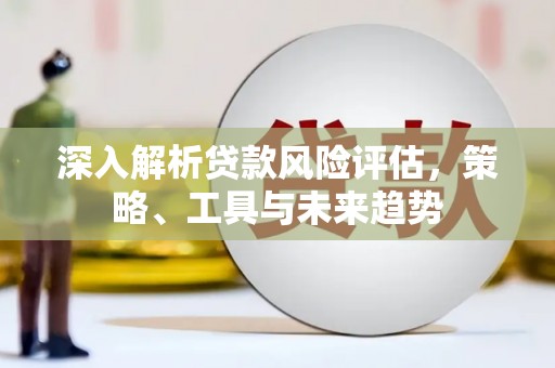 昭苏深入解析贷款风险评估，策略、工具与未来趋势