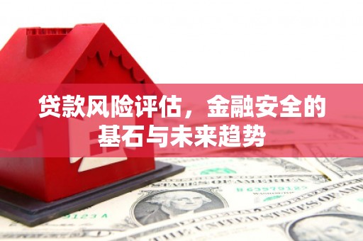 昭苏贷款风险评估，金融安全的基石与未来趋势