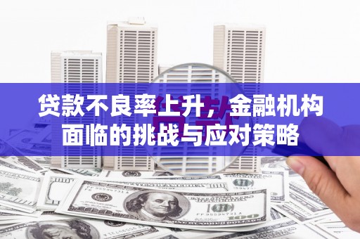 昭苏贷款不良率上升，金融机构面临的挑战与应对策略