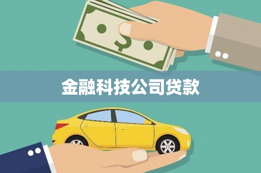 昭苏金融科技公司贷款