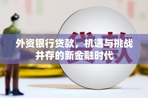 昭苏外资银行贷款，机遇与挑战并存的新金融时代