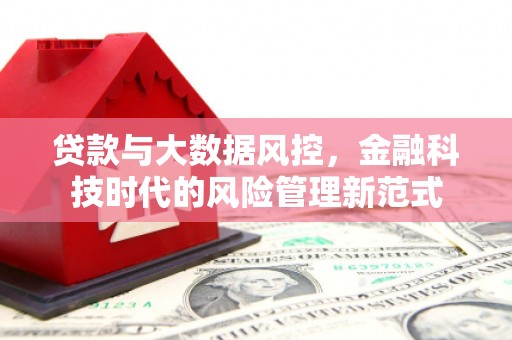 昭苏贷款与大数据风控，金融科技时代的风险管理新范式