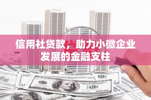 昭苏信用社贷款，助力小微企业发展的金融支柱