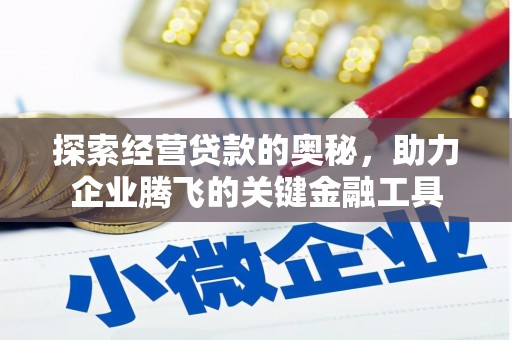昭苏探索经营贷款的奥秘，助力企业腾飞的关键金融工具