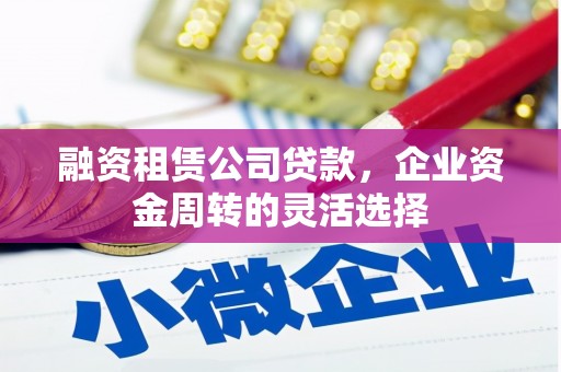 昭苏融资租赁公司贷款，企业资金周转的灵活选择