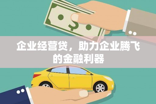 昭苏企业经营贷，助力企业腾飞的金融利器
