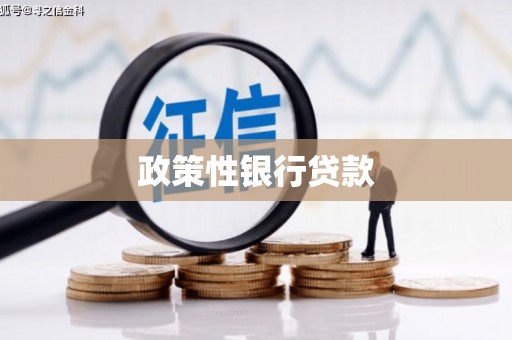 昭苏政策性银行贷款