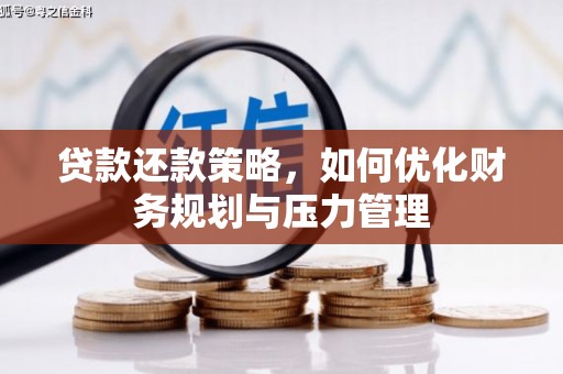 昭苏贷款还款策略，如何优化财务规划与压力管理