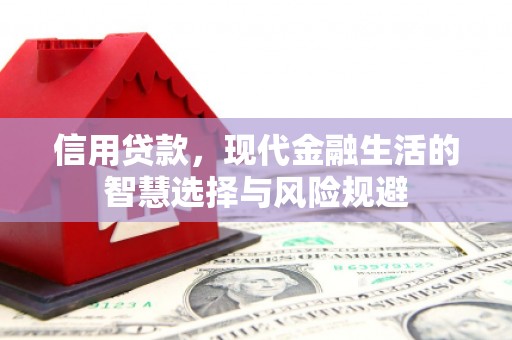 昭苏信用贷款，现代金融生活的智慧选择与风险规避
