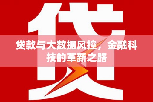 昭苏贷款与大数据风控，金融科技的革新之路