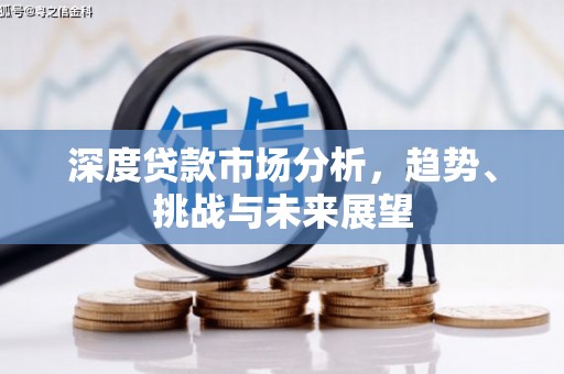 昭苏深度贷款市场分析，趋势、挑战与未来展望