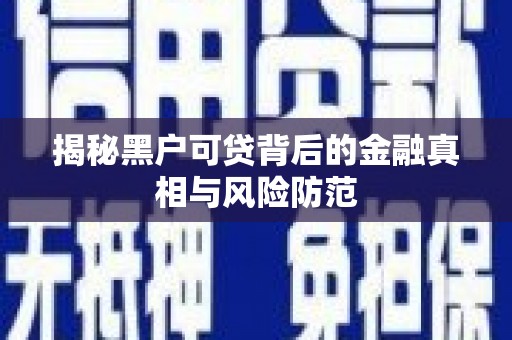 昭苏揭秘黑户可贷背后的金融真相与风险防范