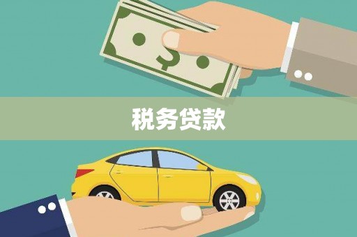 昭苏税务贷款