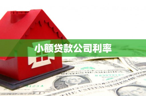 昭苏小额贷款公司利率