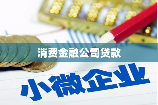 昭苏消费金融公司贷款