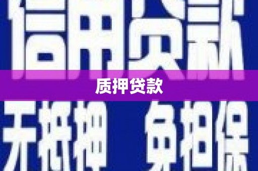 昭苏质押贷款