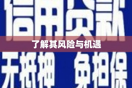 昭苏了解其风险与机遇