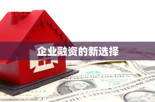 昭苏企业融资的新选择