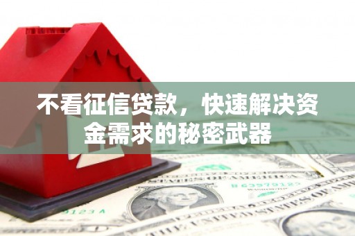 昭苏不看征信贷款，快速解决资金需求的秘密武器