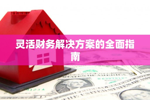 昭苏灵活财务解决方案的全面指南