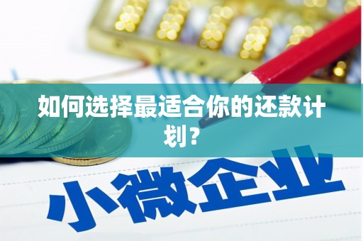 昭苏如何选择最适合你的还款计划？
