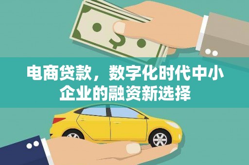 昭苏电商贷款，数字化时代中小企业的融资新选择