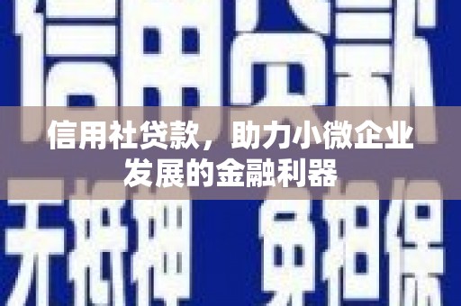 昭苏信用社贷款，助力小微企业发展的金融利器