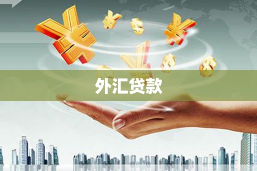 昭苏外汇贷款