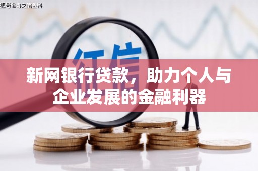 昭苏新网银行贷款，助力个人与企业发展的金融利器
