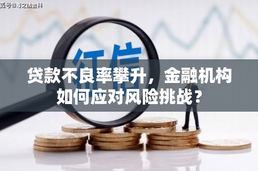 昭苏贷款不良率攀升，金融机构如何应对风险挑战？