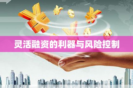 昭苏灵活融资的利器与风险控制