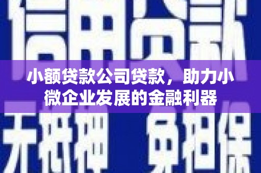 昭苏小额贷款公司贷款，助力小微企业发展的金融利器