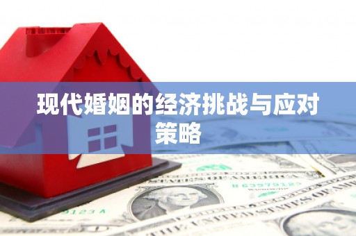 昭苏现代婚姻的经济挑战与应对策略