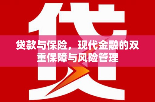 昭苏贷款与保险，现代金融的双重保障与风险管理