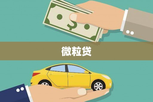 昭苏微粒贷