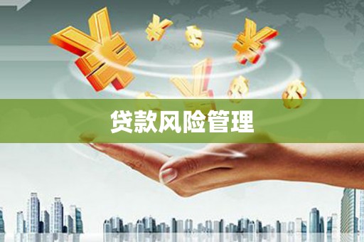 昭苏贷款风险管理