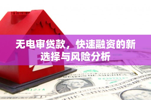 昭苏无电审贷款，快速融资的新选择与风险分析