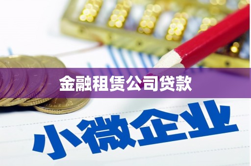 昭苏金融租赁公司贷款