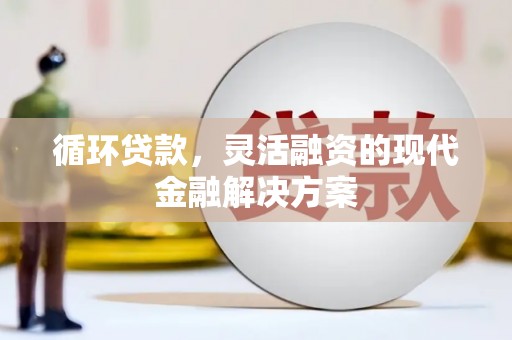 昭苏循环贷款，灵活融资的现代金融解决方案