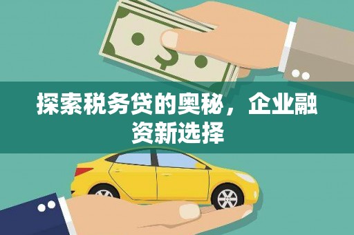 昭苏探索税务贷的奥秘，企业融资新选择