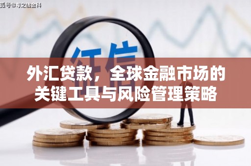 昭苏外汇贷款，全球金融市场的关键工具与风险管理策略