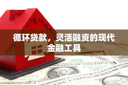 昭苏循环贷款，灵活融资的现代金融工具