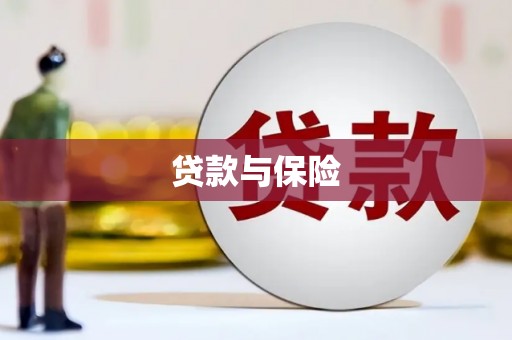 昭苏贷款与保险