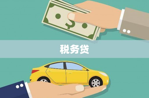 昭苏税务贷