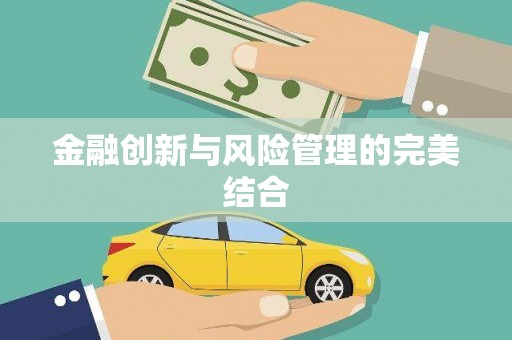 昭苏金融创新与风险管理的完美结合